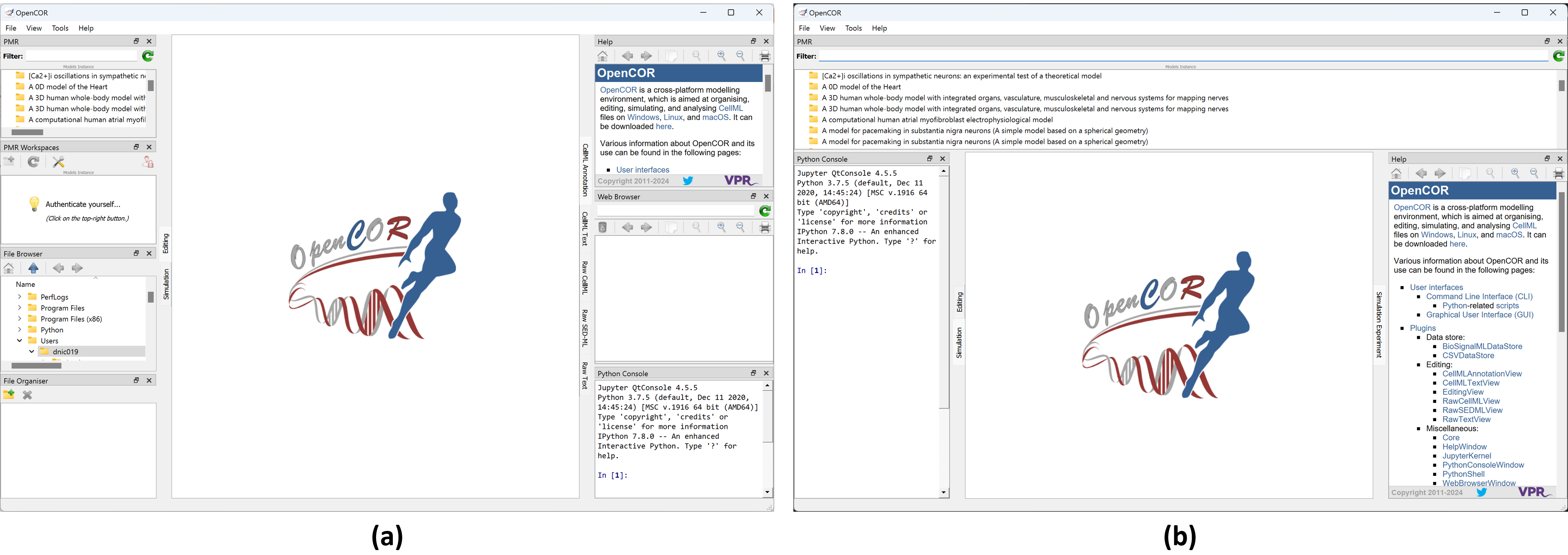 OpenCOR application
