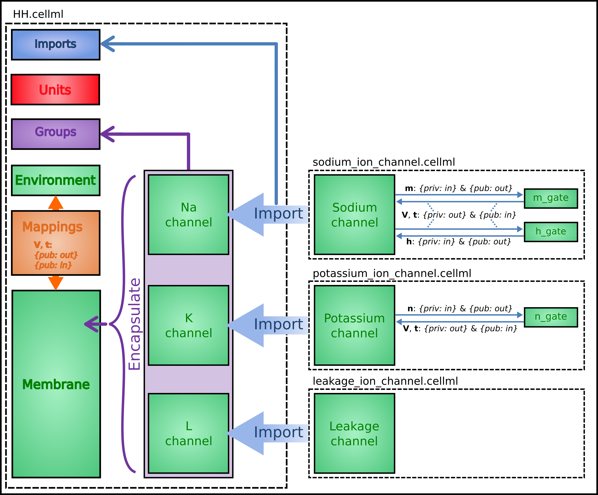 Overall sturcture of HH CellML model