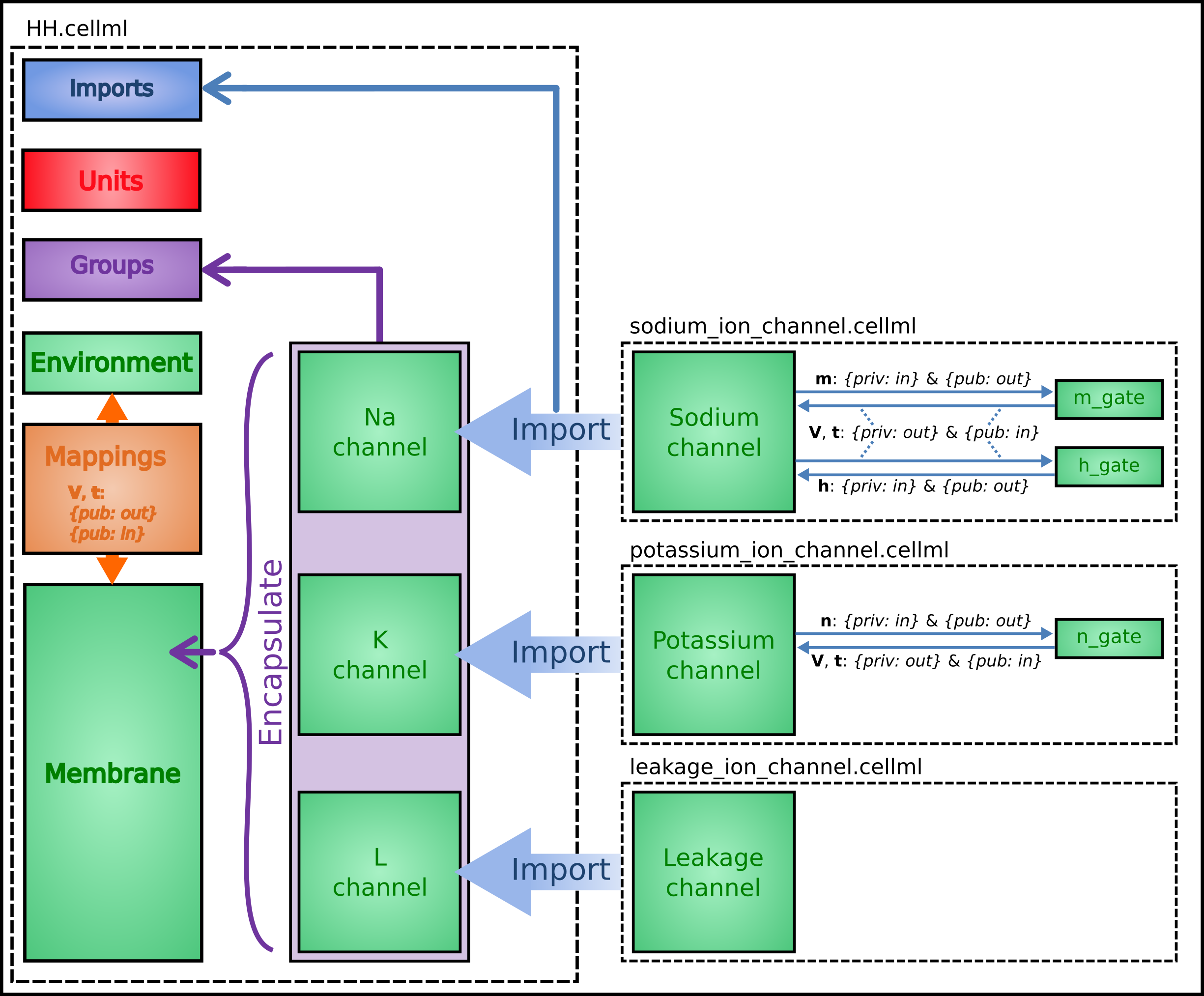 Overall sturcture of HH CellML model